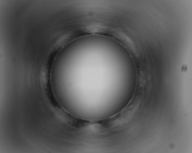 X0000103490210200809121722