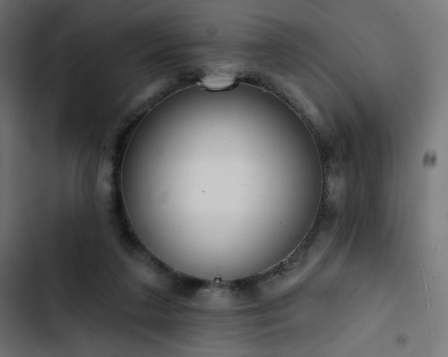 X0000103490211200809121722