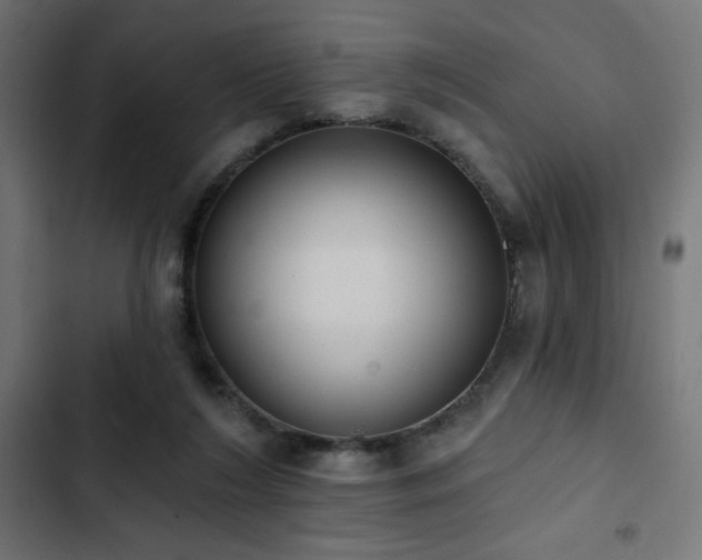 X0000103490212200809121722