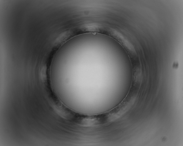 X0000103490213200809121722