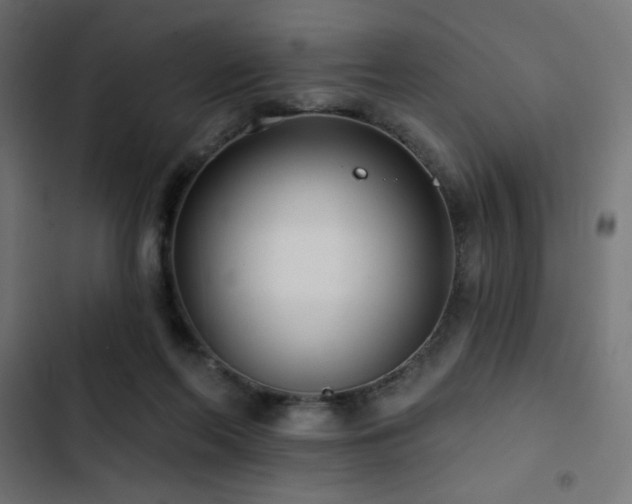 X0000103490214200809121722