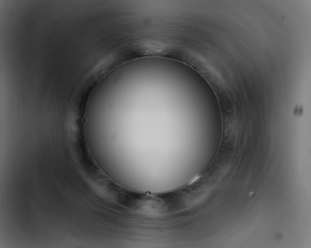 X0000103490215200809121722