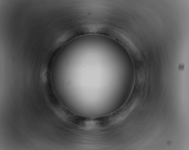 X0000103490216200809121722