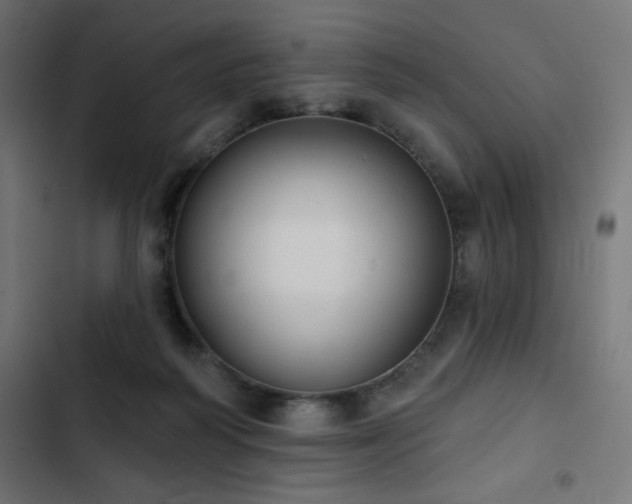 X0000103490218200809121722