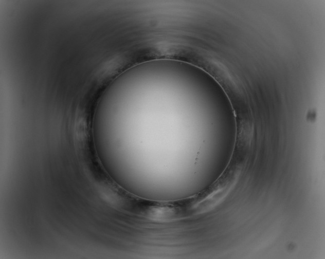 X0000103490220200809121722