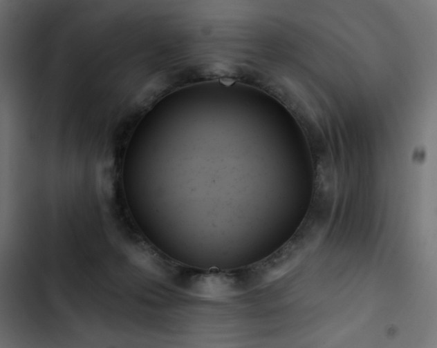 X0000103490223200809121722