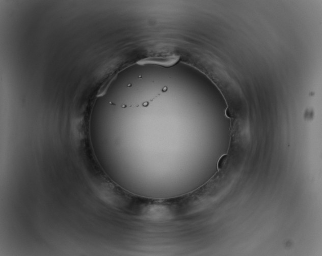 X0000103490224200809121722