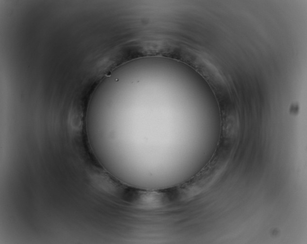 X0000103490226200809121722