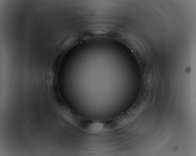 X0000103490227200809121722