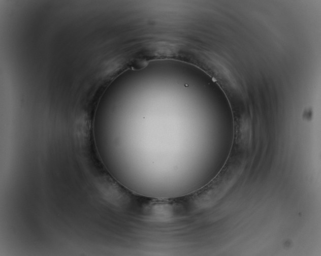 X0000103490228200809121722