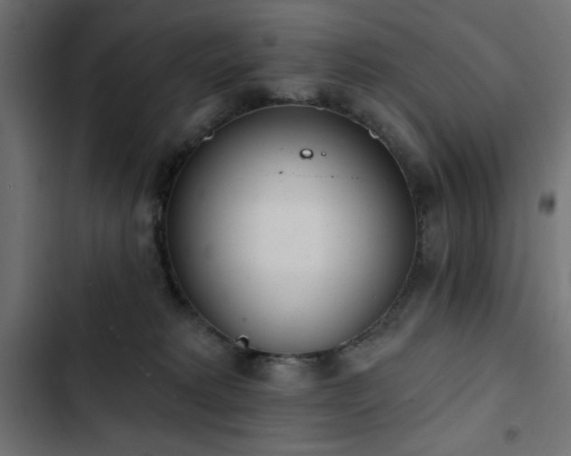 X0000103490229200809121722