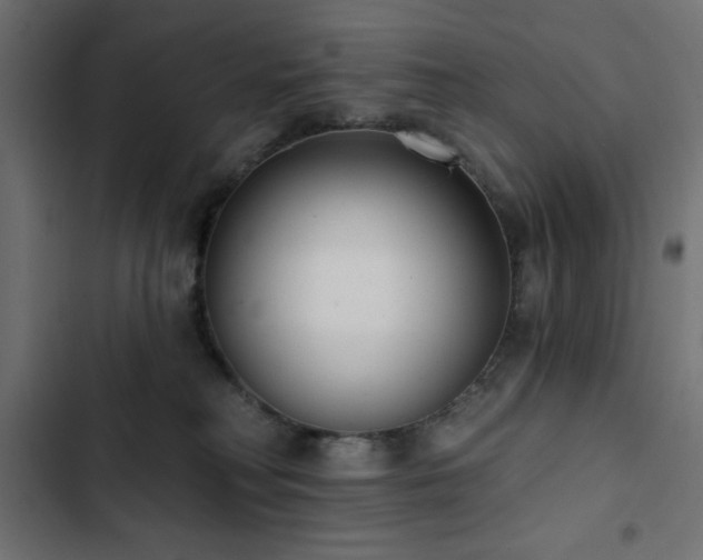 X0000103490230200809121722