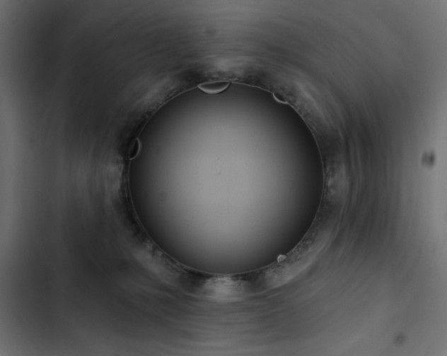 X0000103490231200809121722