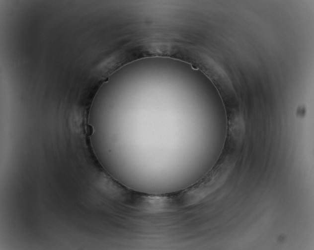 X0000103490233200809121722