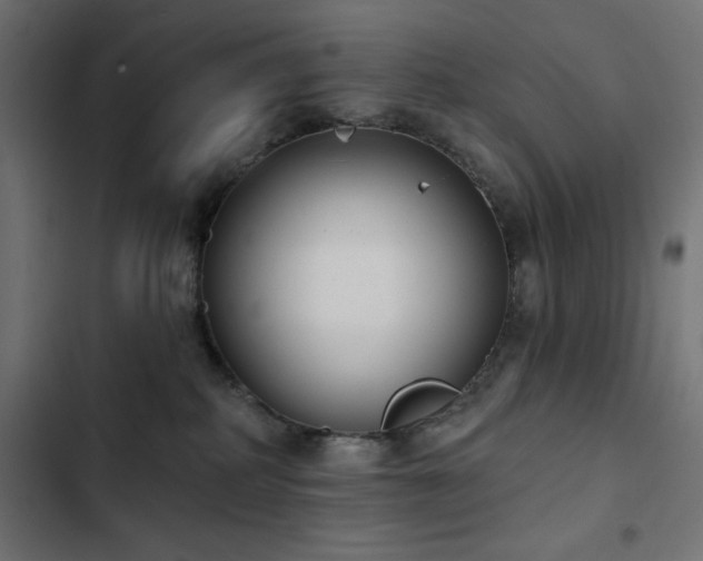 X0000103490234200809121722