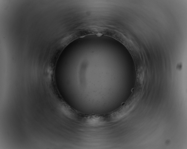 X0000103490235200809121722