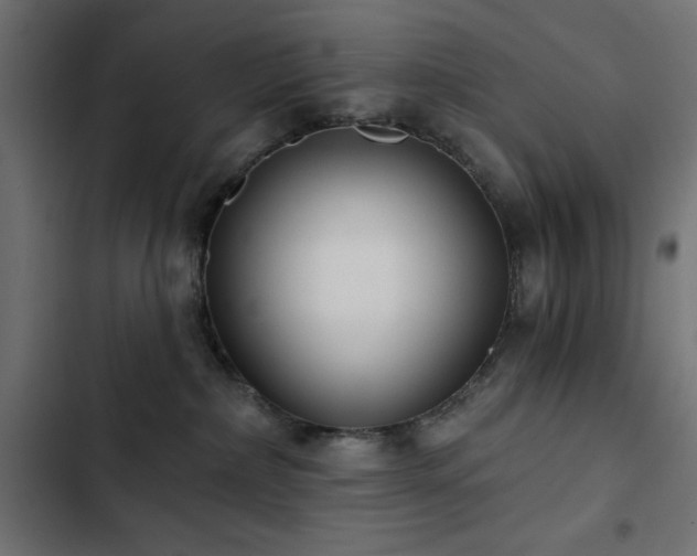 X0000103490236200809121722