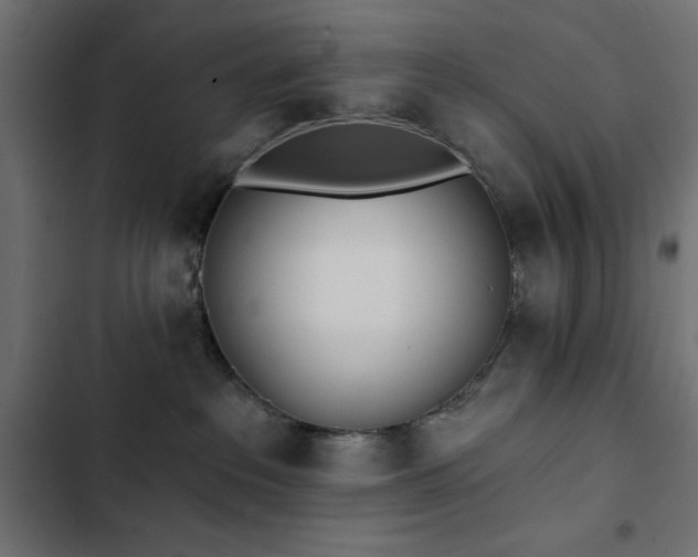 X0000103490237200809121722