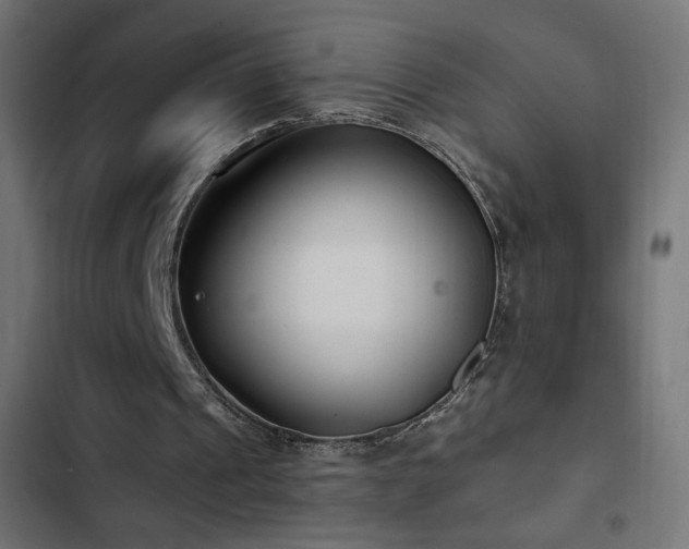 X0000103490241200809121721