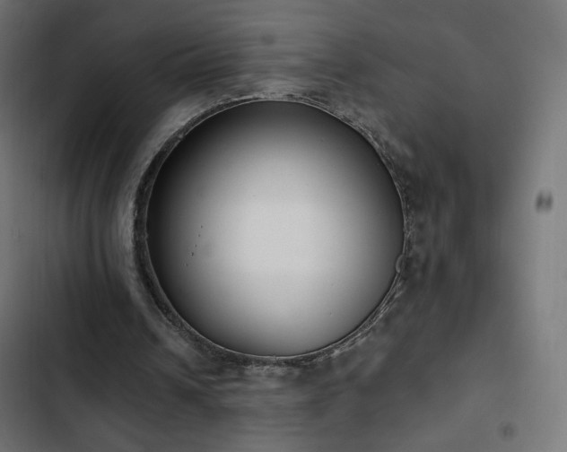 X0000103490242200809121721