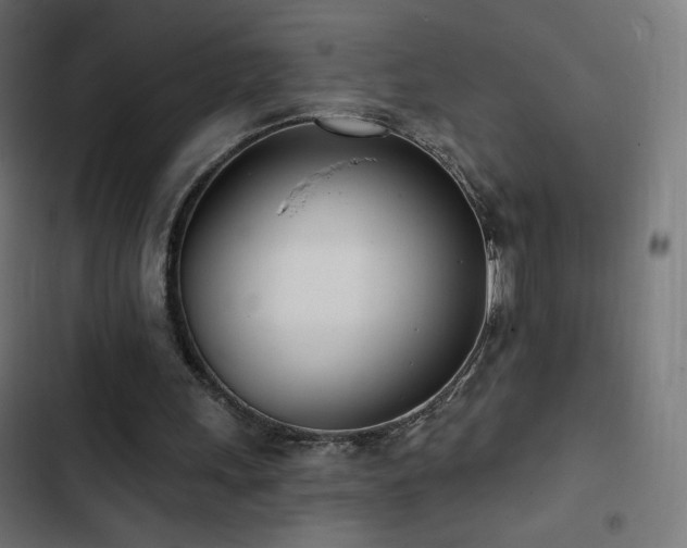 X0000103490243200809121721