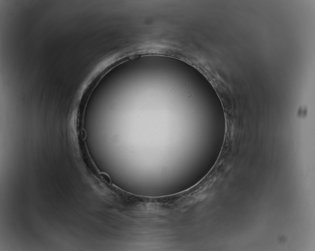 X0000103490244200809121721