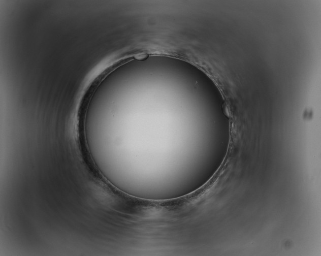 X0000103490246200809121721