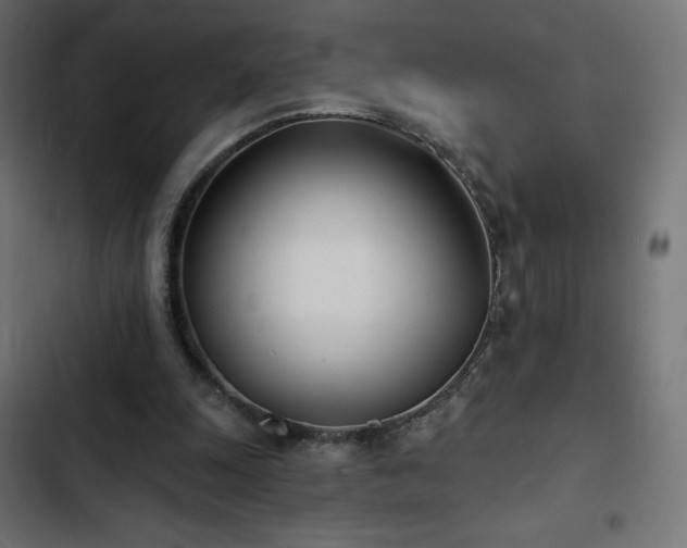 X0000103490247200809121721