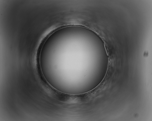 X0000103490248200809121721