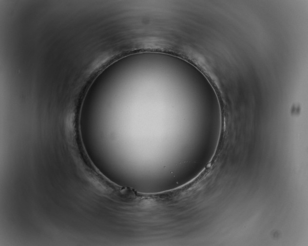 X0000103490249200809121721