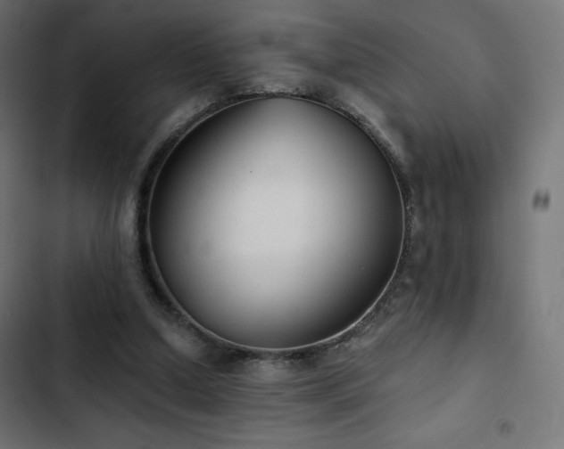 X0000103490250200809121721