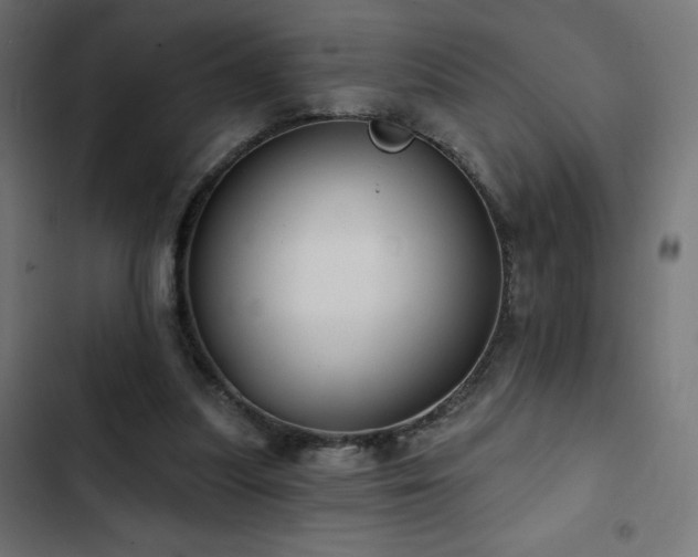 X0000103490251200809121721