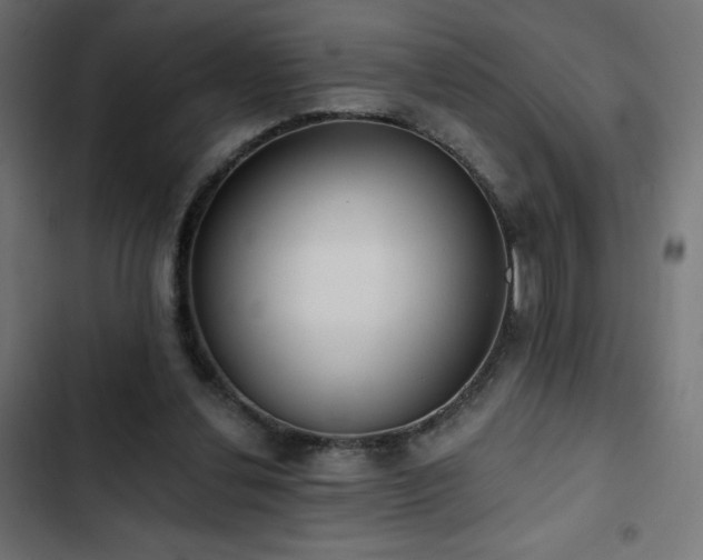 X0000103490252200809121721