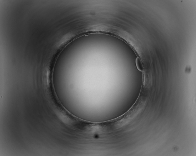 X0000103490253200809121721