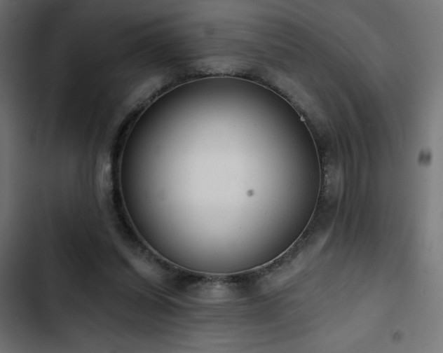 X0000103490254200809121721