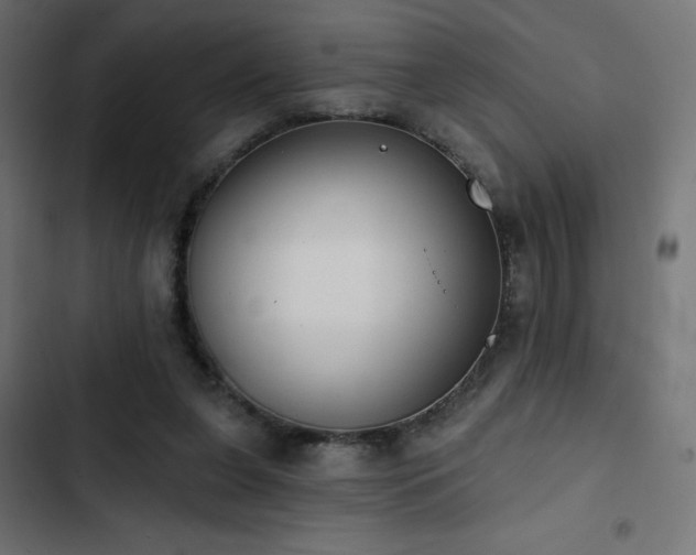 X0000103490255200809121721