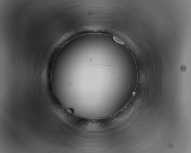 X0000103490256200809121721