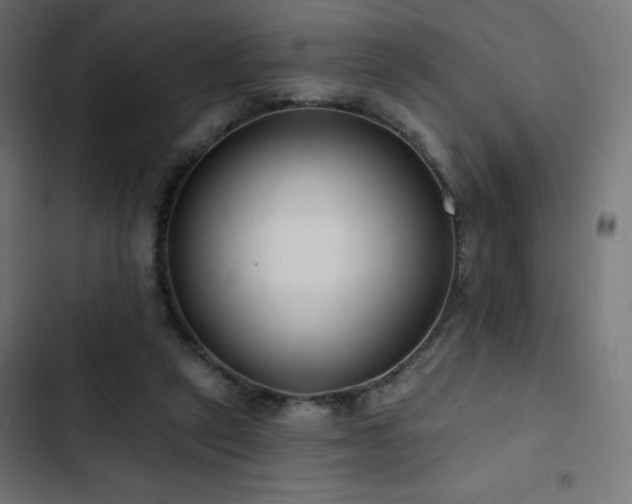 X0000103490257200809121721