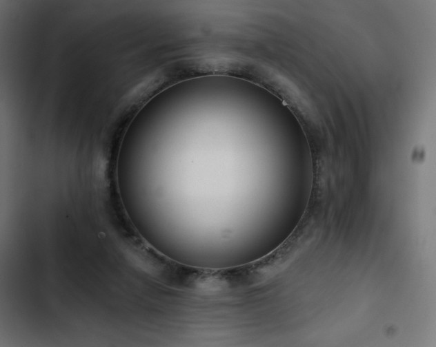 X0000103490258200809121721