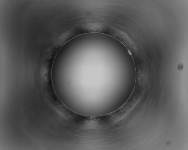 X0000103490259200809121721