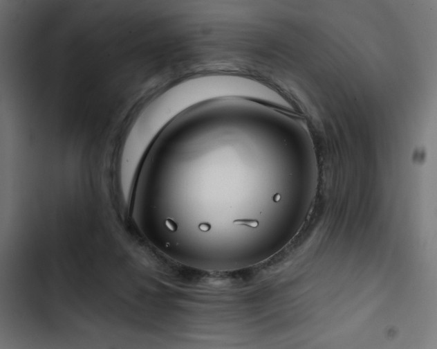 X0000103490260200809121721