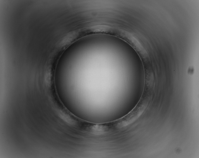 X0000103490261200809121721