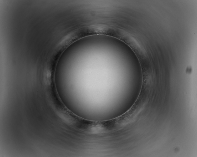 X0000103490262200809121721