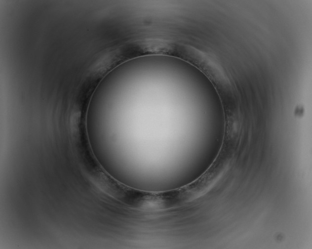 X0000103490263200809121721