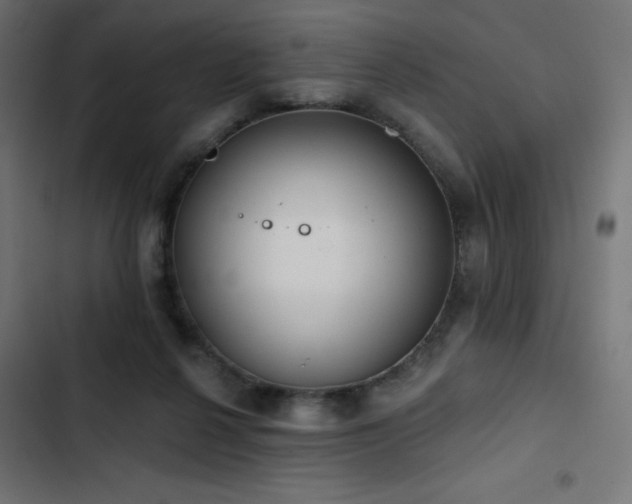 X0000103490264200809121721