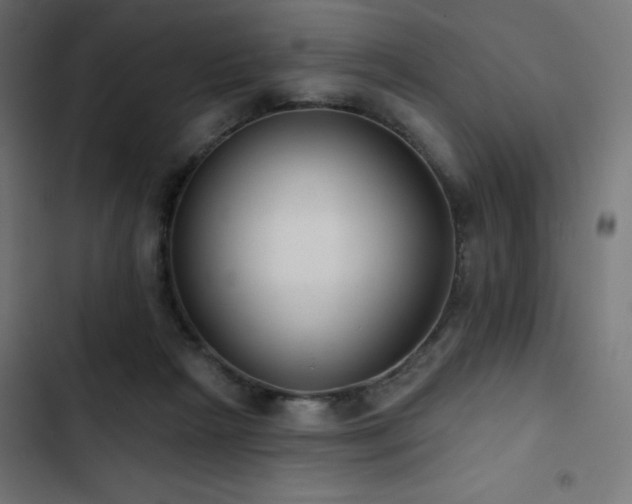 X0000103490265200809121721