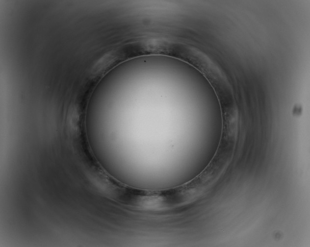 X0000103490266200809121721