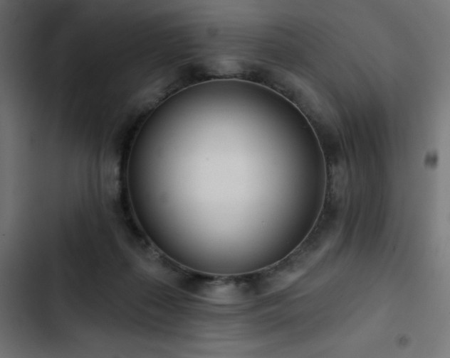 X0000103490267200809121721