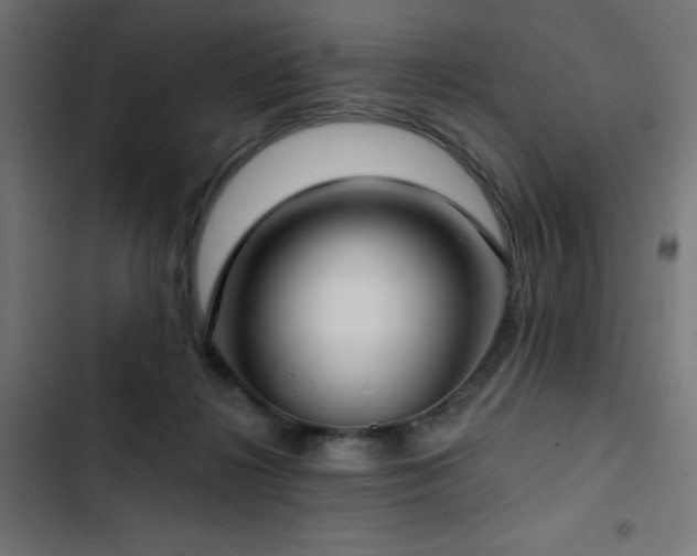 X0000103490268200809121721