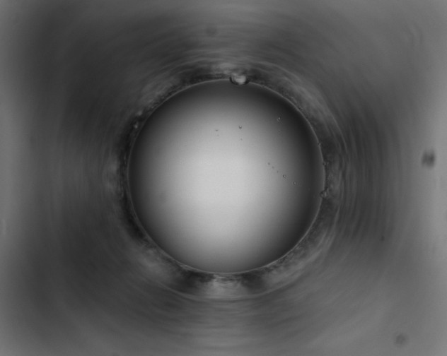 X0000103490270200809121721